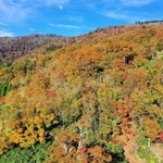 澄んだ青空とのコントラストが鮮やかな氷ノ山の紅葉（許可を得て小型無人機で撮影）＝２１日午前、養父市内
