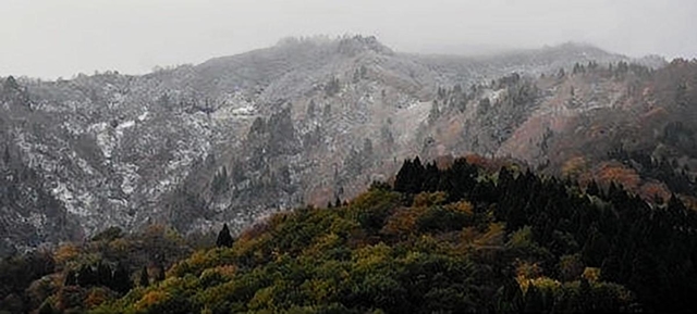 今季初冠雪が観測された氷ノ山＝４日午前、養父市（やぶ市観光協会氷ノ山鉢伏支部提供）