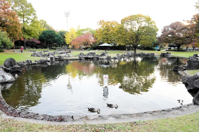 阪神タイガース２軍本拠地の移転先として検討されている小田南公園＝尼崎市杭瀬南新町３