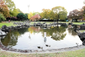 阪神タイガース２軍本拠地の移転先として検討されている小田南公園＝尼崎市杭瀬南新町３