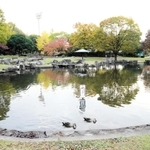 阪神タイガース２軍本拠地の移転先として検討されている小田南公園＝尼崎市杭瀬南新町３