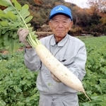 「大ちゃん」の子孫の大根を手にする栽培農家の志茂進さん＝相生市