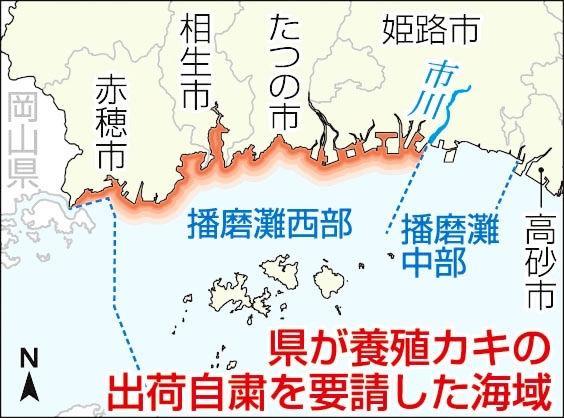 神戸新聞ＮＥＸＴ