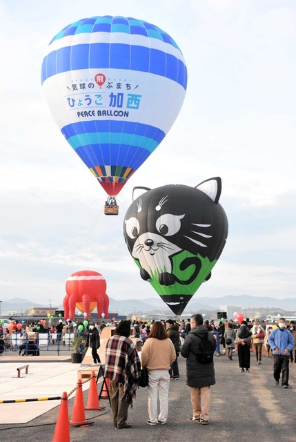 鶉野飛行場跡で開かれた気球のイベント＝１９日午前、加西市鶉野町
