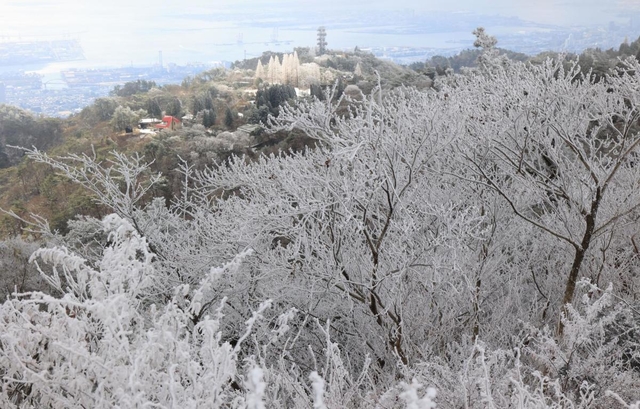 木々が氷雪をまとった六甲山上＝３１日午前、神戸市灘区六甲山町（撮影・吉田敦史）