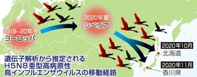 神戸新聞ＮＥＸＴ