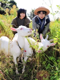 草を食べる２頭のヤギ。研究を進める菅井さん（左）と守さんが見守った＝淡路市楠本