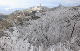 木々が氷雪をまとった六甲山上＝３１日午前、神戸市灘区六甲山町（撮影・吉田敦史）