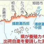 神戸新聞ＮＥＸＴ