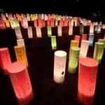 ルミナリエの代替行事が開かれた神戸・東遊園地で並べられた「紙灯籠」＝１３日、神戸市中央区加納町６（提供）