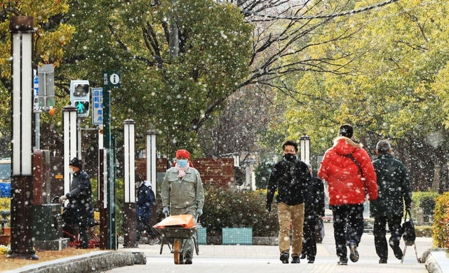 雪の中を職場に向かう人たち＝８日午前、神戸市中央区加納町６（撮影・鈴木雅之）