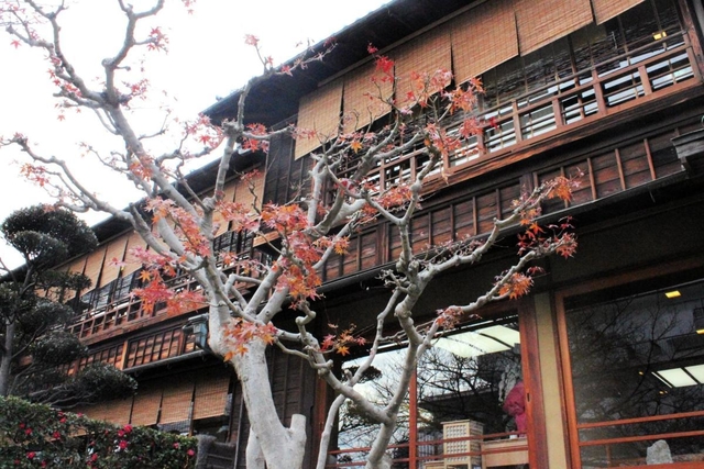 異人館街で再出発した松廼家の外観＝神戸市中央区北野町４