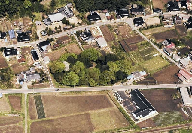 船宮古墳。木に覆われ、森のようになっている（朝来市教育委員会提供）