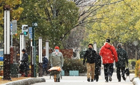 雪の中を職場に向かう人たち＝８日午前、神戸市中央区加納町６（撮影・鈴木雅之）