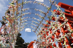 無数のおみくじが結ばれているトンネル型の骨組み＝神戸市兵庫区和田宮通３、和田神社