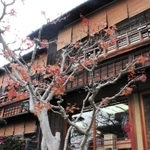 異人館街で再出発した松廼家の外観＝神戸市中央区北野町４