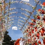 無数のおみくじが結ばれているトンネル型の骨組み＝神戸市兵庫区和田宮通３、和田神社