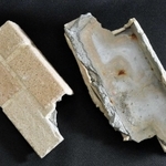 マンション外壁からはがれ落ちたタイル