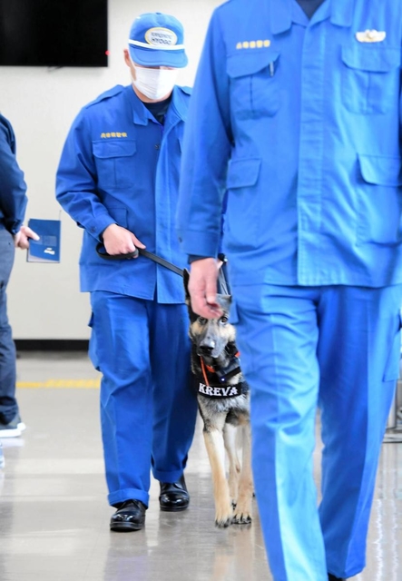 表彰式に出席するクレバ号＝１２日午前、神戸市中央区吾妻通５、兵庫県警葺合署（撮影・中西幸大）