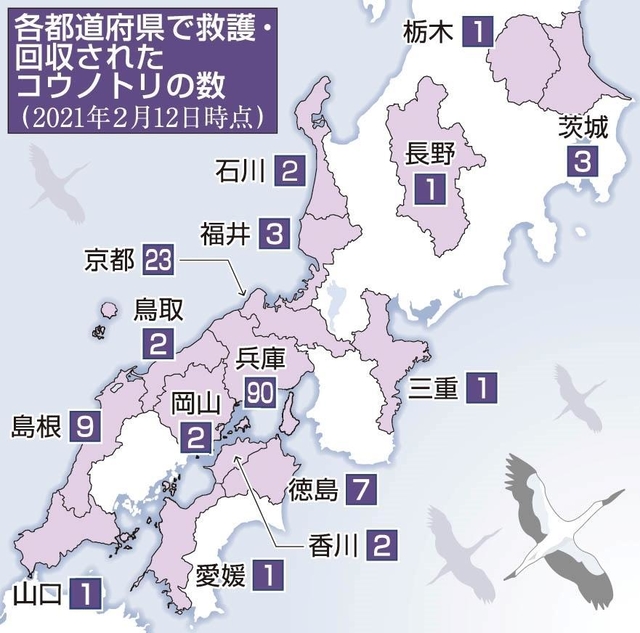 神戸新聞ＮＥＸＴ