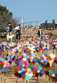 約５千本の「かざぐるま」で花畑のような光景が広がる中、園内を散策する行楽客ら＝２１日午後、淡路市夢舞台、国営明石海峡公園