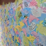 長年のファンらから寄せられたメッセージ＝２８日午後、神戸市須磨区若宮町１、須磨海浜水族園（撮影・秋山亮太）