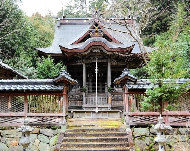 重要有形文化財に指定された五社稲荷神社本殿＝丹波市柏原町（県教委提供）