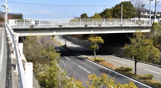 橋のすぐ下には車両が行き交う道路がある