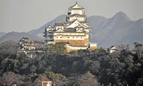 「姫山原始林」と呼ばれてきた姫路城天守周辺の樹林。今では外来種も目立つ＝姫路市山野井町から