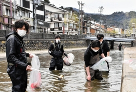 大谿川を掃除するメンバー＝豊岡市城崎町湯島