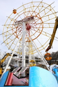 巨大重機で次々と撤去されていく手柄山遊園の観覧車＝９日午前、姫路市西延末