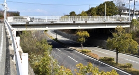 橋のすぐ下には車両が行き交う道路がある