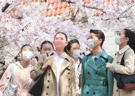 満開の桜並木の下で喜ぶ合格者＝３０日午前、宝塚市栄町１（撮影・斎藤雅志）