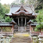 重要有形文化財に指定された五社稲荷神社本殿＝丹波市柏原町（県教委提供）