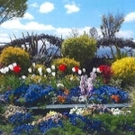 花緑部門・知事賞の「昆陽南公園苗圃を活用する会」＝伊丹市（兵庫県提供）