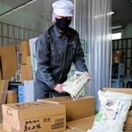 無農薬米を箱に詰める職員たち＝豊岡市八代宮