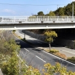 橋のすぐ下には車両が行き交う道路がある