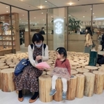 六甲山の木材を使った丸太ベンチ。内装は温かみのある雰囲気に＝２４日午前、神戸市須磨区、大丸須磨店（撮影・吉田敦史）