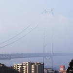霧に包まれた明石海峡大橋＝２６日午前８時１６分、神戸市垂水区舞子台７から（撮影・小林良多）