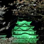 新型コロナウイルスによる差別や偏見を無くそうと緑色に染まった姫路城＝２６日夜、姫路市本町