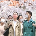 満開の桜並木の下で喜ぶ合格者＝３０日午前、宝塚市栄町１（撮影・斎藤雅志）