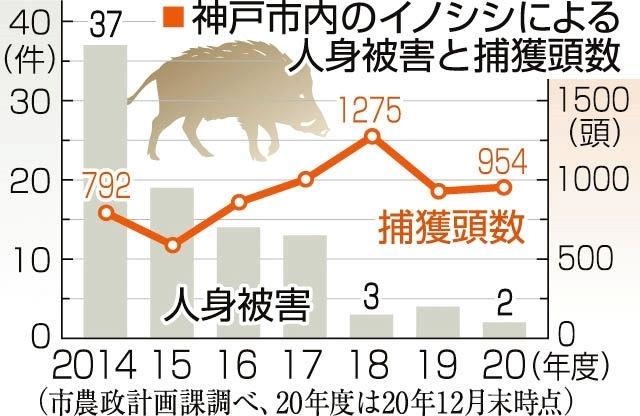 神戸新聞ＮＥＸＴ