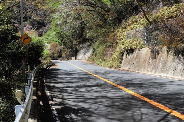 手足が縛られたトイプードルが見つかった道路＝神戸市灘区六甲山町