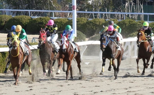 昨年、７年半ぶりにレースが開催された姫路競馬場。ネットも追い風になった＝２０２０年１月、姫路市広峰２