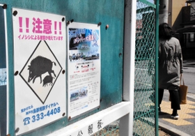 イノシシに注意を呼び掛ける住宅街の公報板。人身被害の件数は目に見えて減っている＝神戸市東灘区