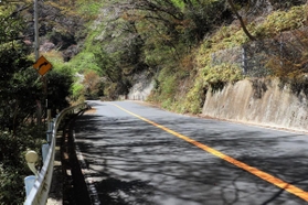 手足が縛られたトイプードルが見つかった道路＝神戸市灘区六甲山町