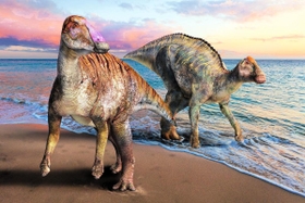 洲本市で化石が発見されたヤマトサウルス（左）と、同時代の北海道に生息していたとされるカムイサウルス（右）の復元画（（Ｃ）服部雅人）