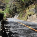 手足が縛られたトイプードルが見つかった道路＝神戸市灘区六甲山町