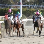 昨年、７年半ぶりにレースが開催された姫路競馬場。ネットも追い風になった＝２０２０年１月、姫路市広峰２
