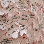 桜の花びらをかたどったピンク色の紙には、新生活を応援する言葉が並ぶ＝ＪＲ加古川駅